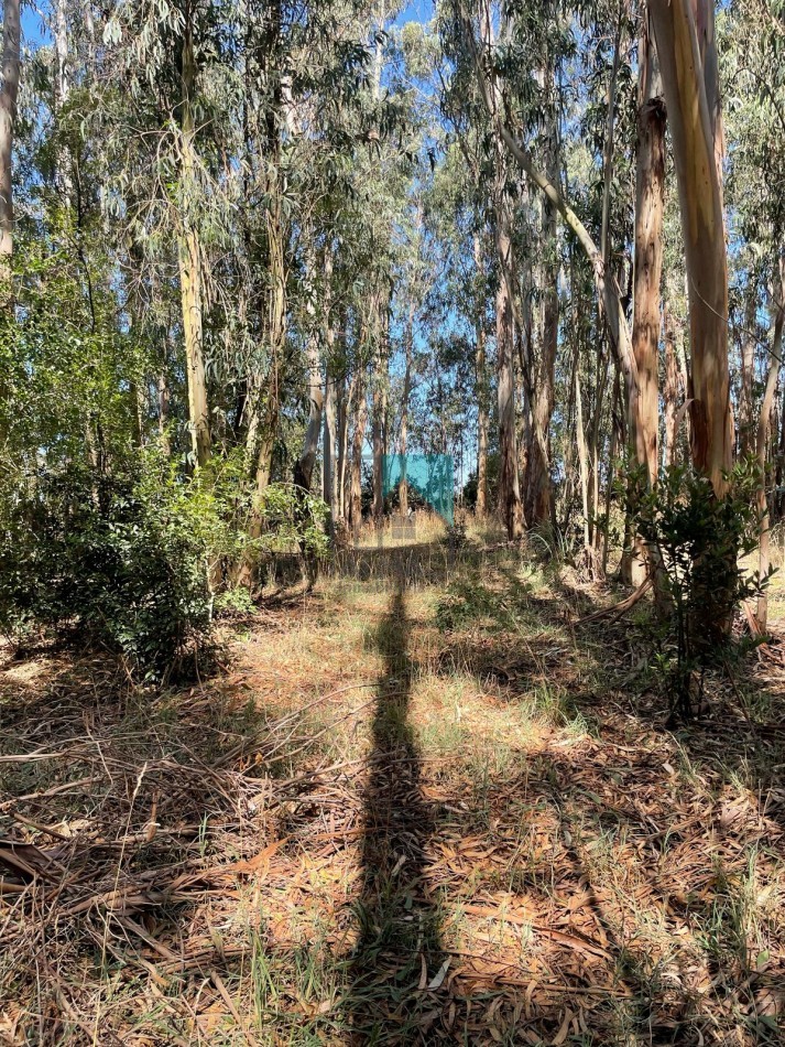 LOTE - TERRENO EN ESTACION CAHPADMALAL - OPORTUNIDAD - BAJO DE PRECIO - Apto credito