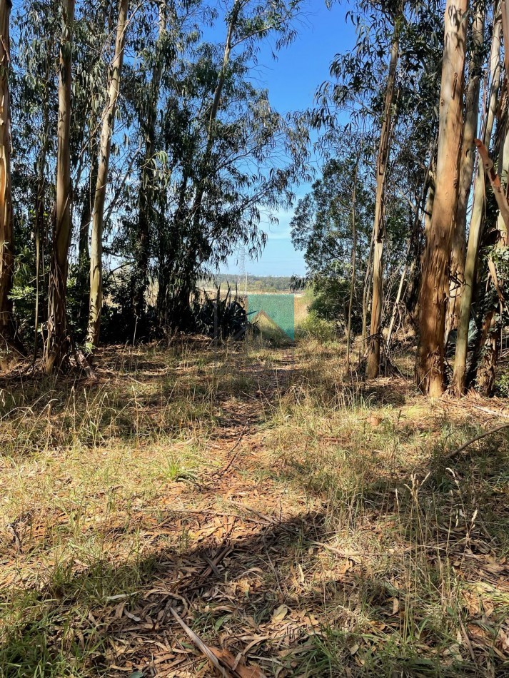 LOTE - TERRENO EN ESTACION CAHPADMALAL - OPORTUNIDAD - BAJO DE PRECIO - Apto credito