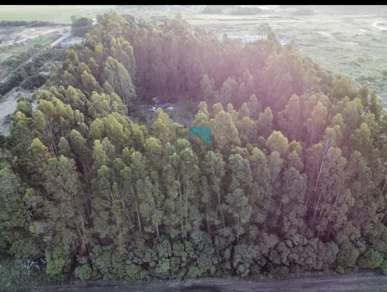 LOTE - TERRENO EN ESTACION CAHPADMALAL - OPORTUNIDAD - BAJO DE PRECIO - Apto credito