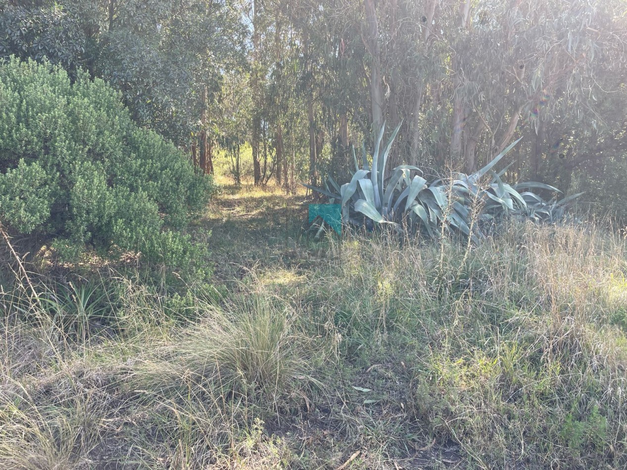 LOTE - TERRENO EN ESTACION CAHPADMALAL - OPORTUNIDAD - BAJO DE PRECIO - Apto credito