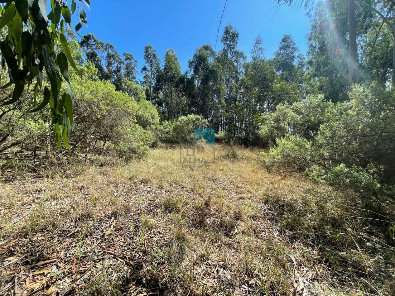 LOTE - TERRENO EN ESTACION CAHPADMALAL - OPORTUNIDAD - BAJO DE PRECIO - Apto credito