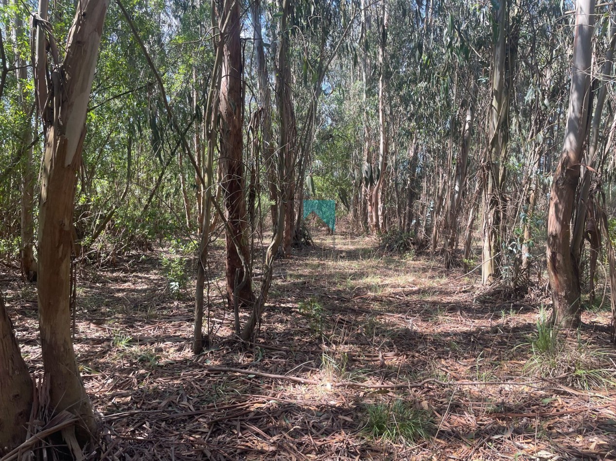 LOTE - TERRENO EN ESTACION CAHPADMALAL - OPORTUNIDAD - BAJO DE PRECIO - Apto credito