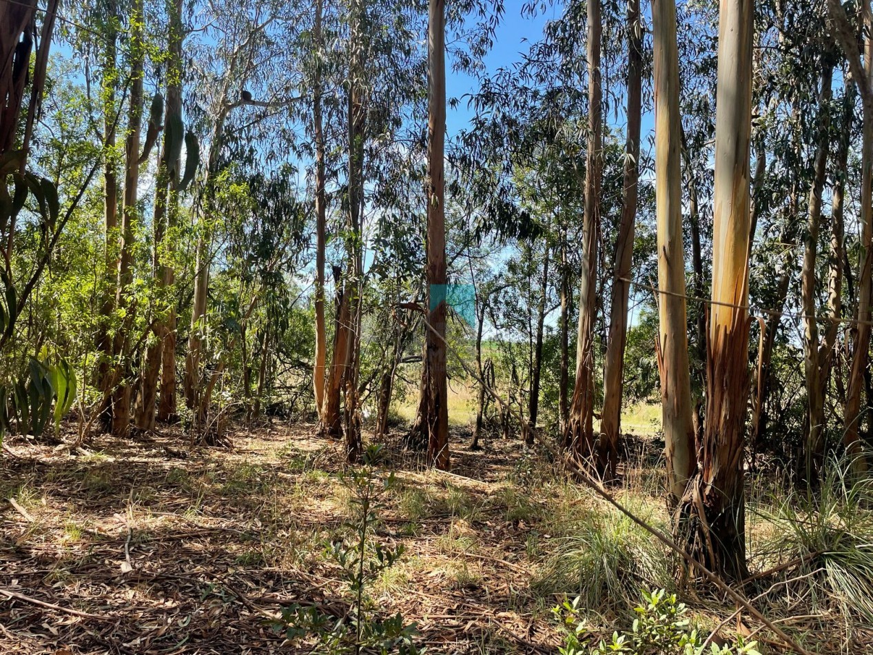 LOTE - TERRENO EN ESTACION CAHPADMALAL - OPORTUNIDAD - BAJO DE PRECIO - Apto credito